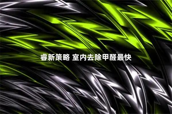 睿新策略 室内去除甲醛最快