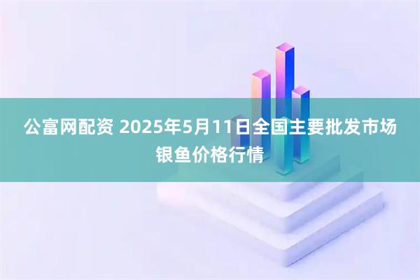公富网配资 2025年5月11日全国主要批发市场银鱼价格行情