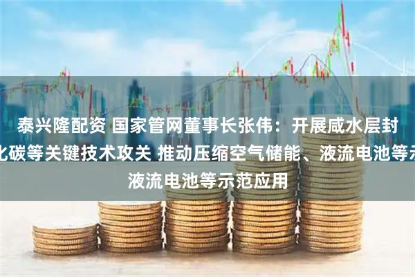 泰兴隆配资 国家管网董事长张伟：开展咸水层封存二氧化碳等关键技术攻关 推动压缩空气储能、液流电池等示范应用